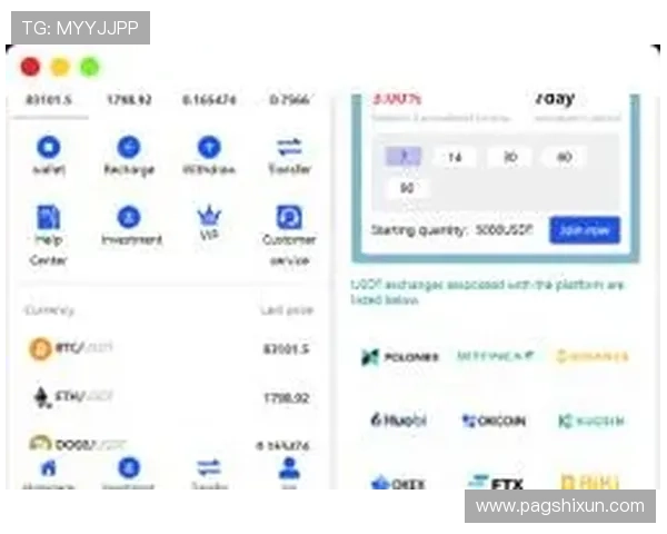 全面解析USDT区块查询网站的功能与使用指南